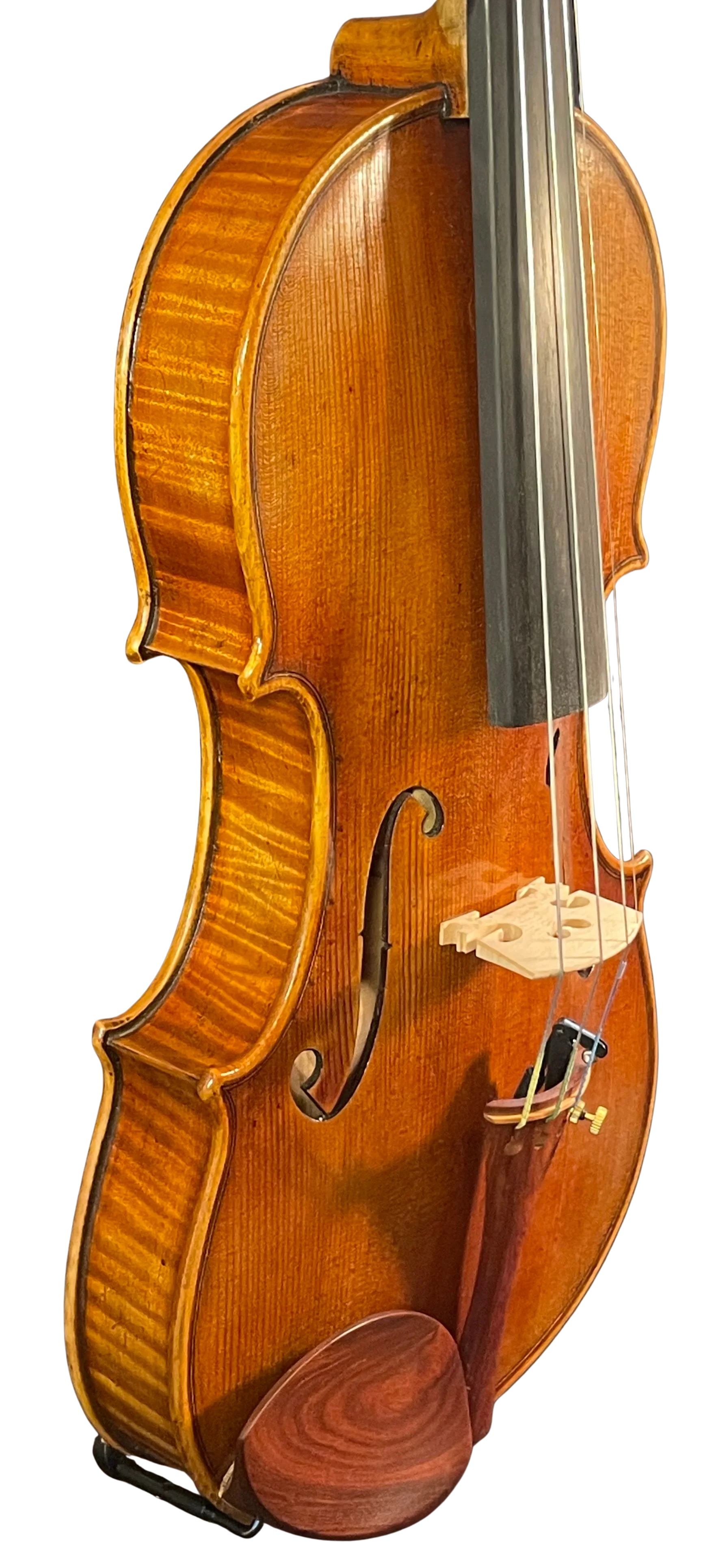 Violine Il Canone ganzer Boden