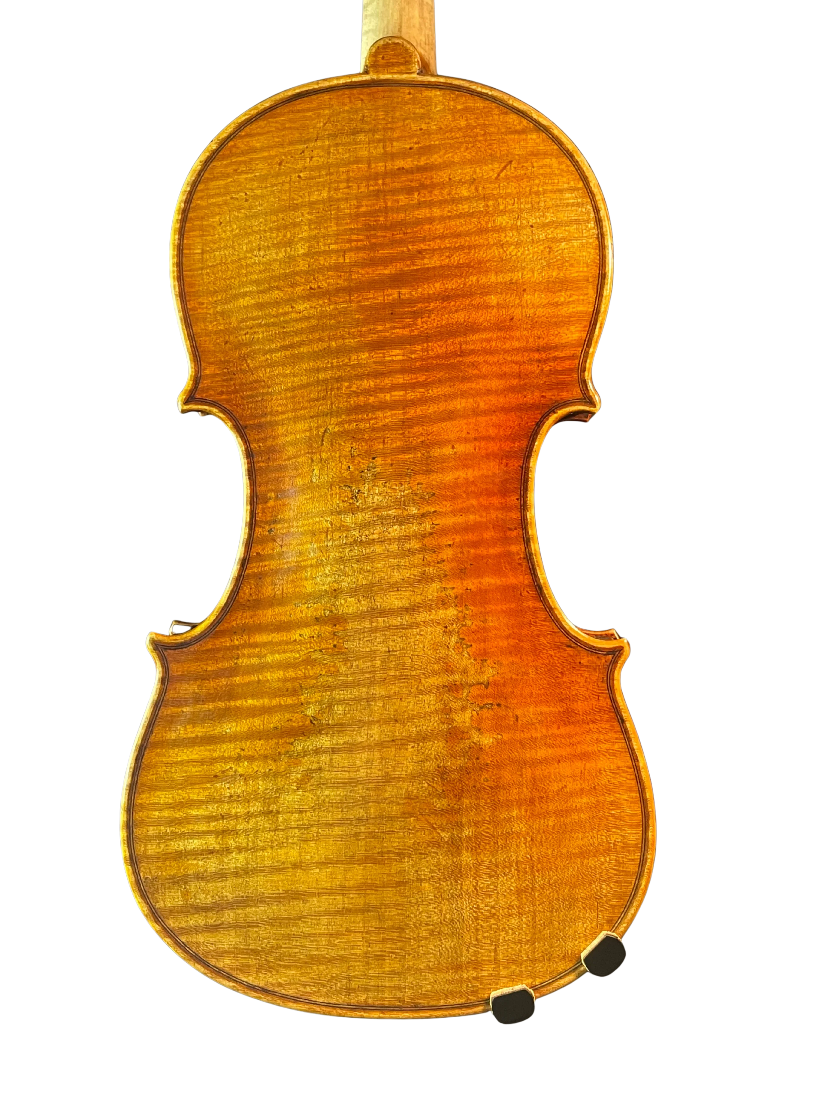Violine Il Canone ganzer Boden