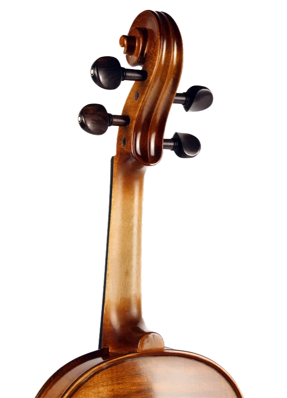 Violine Lebensfreude Sets