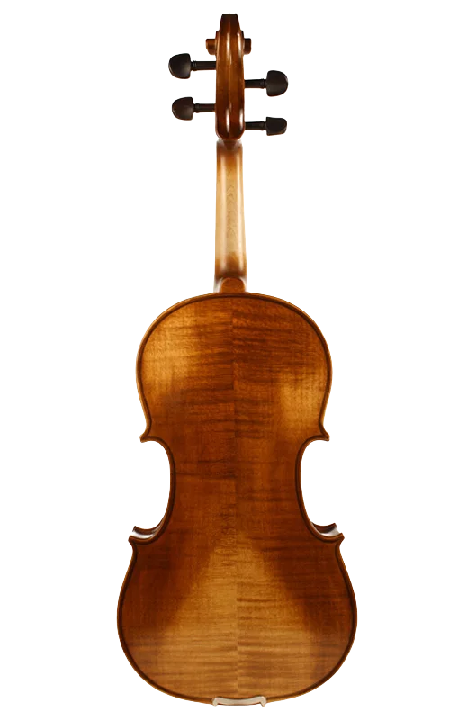Violine Lebensfreude Sets