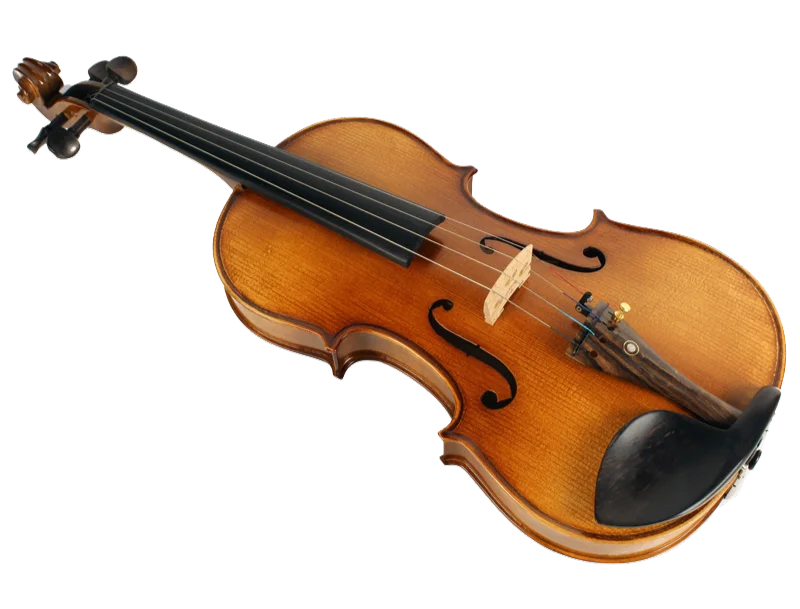 Violine Lebensfreude Sets