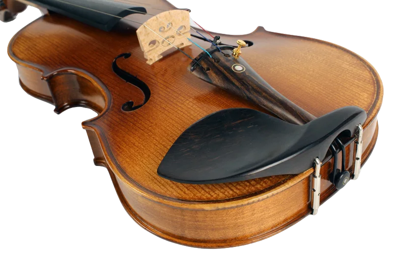 Violine Lebensfreude Sets