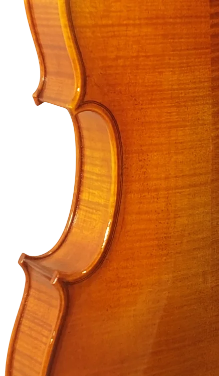 Violine 01 Set