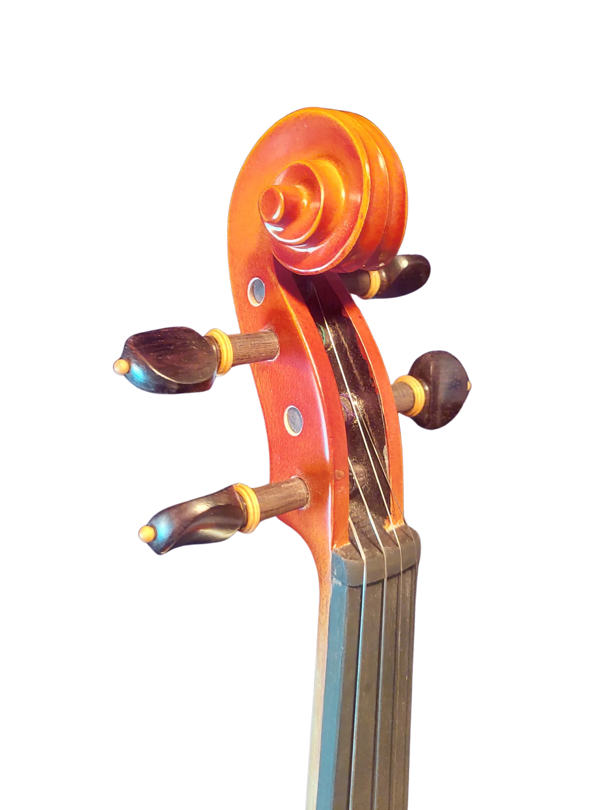 Violine Set Ciampine